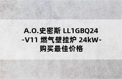 A.O.史密斯 LL1GBQ24-V11 燃气壁挂炉 24kW-购买最佳价格